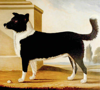 Tomson, Clifton; Lord Byron's Dog 'Boatswain' (1803-1808) (The Newfoundland); Nottingham City Museums & Galleries; http://www.artuk.org/artworks/lord-byrons-dog-boatswain-18031808-the-newfoundland-47822